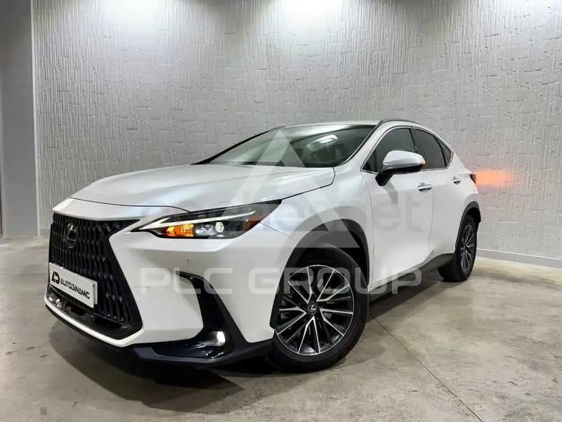 2023 Lexus NX