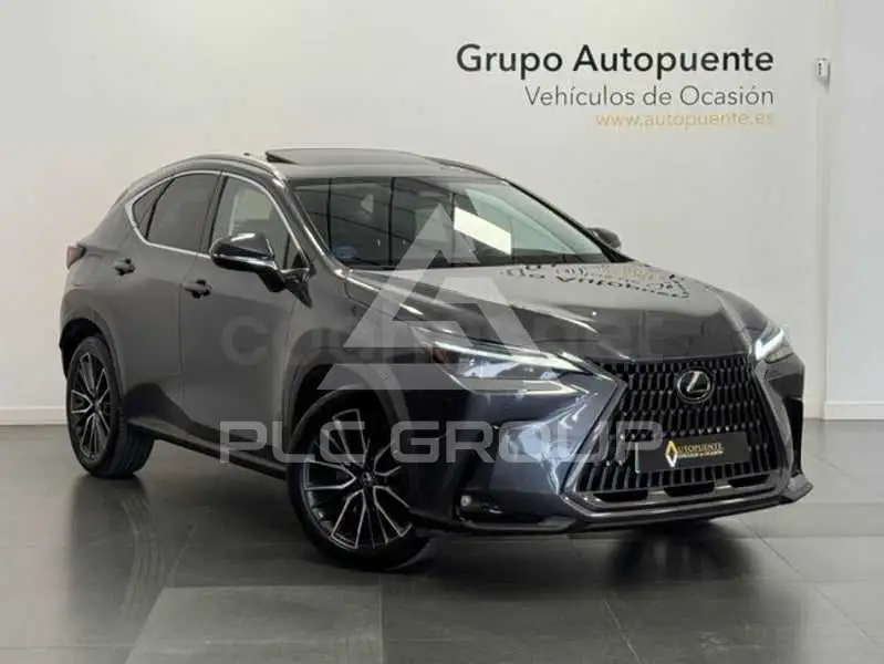 2023 Lexus NX