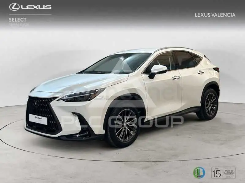 2023 Lexus NX