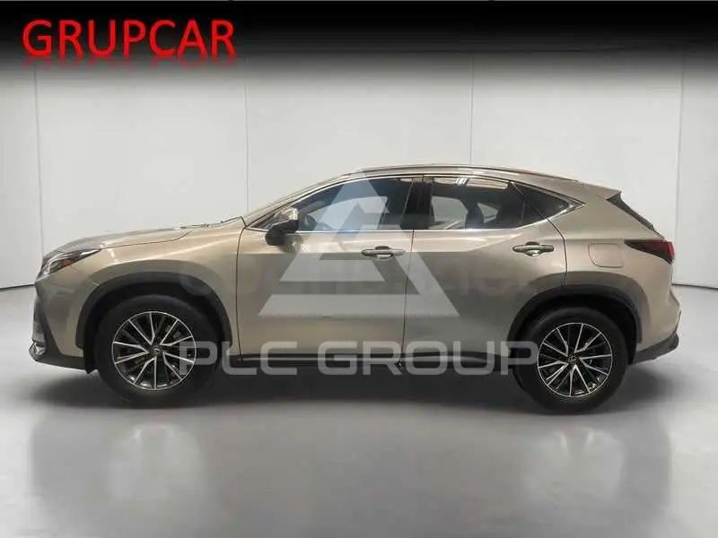 2023 Lexus NX