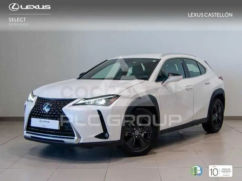 2023 Lexus UX