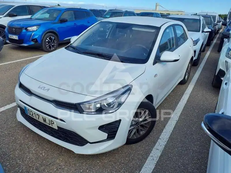 2023 KIA Rio