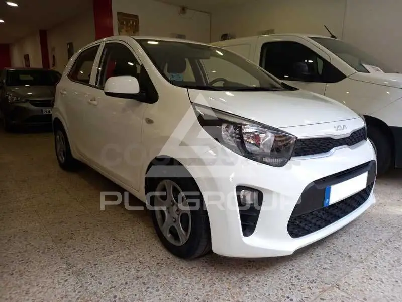 2023 KIA Picanto