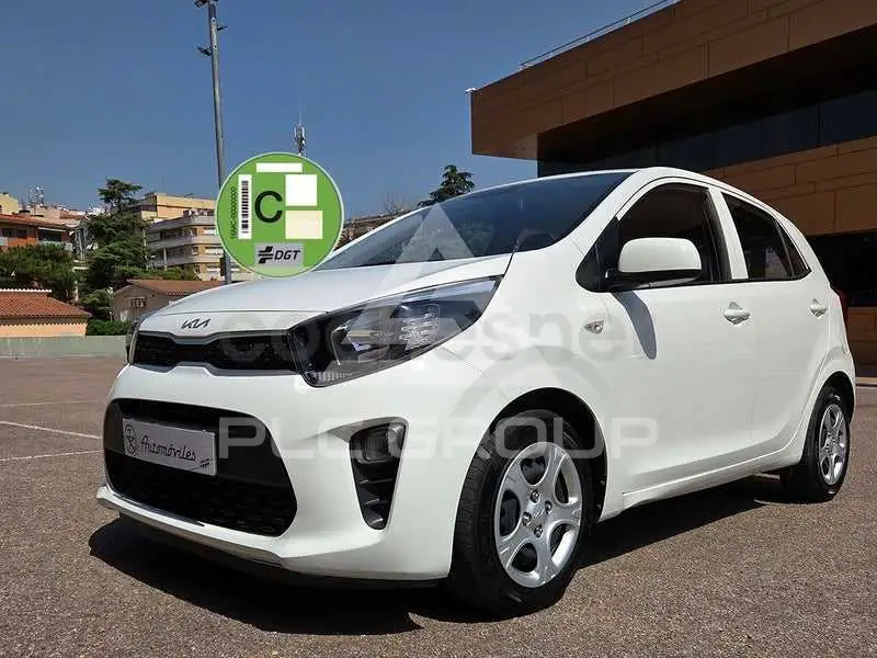2023 KIA Picanto