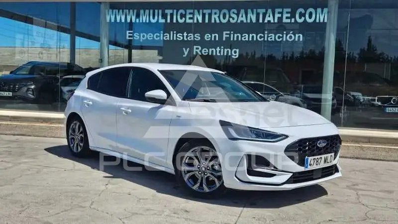 2023 Ford FOCUS