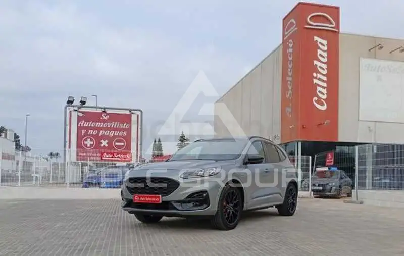 2023 Ford Kuga