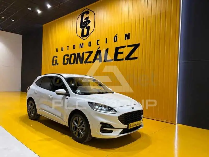 2023 Ford Kuga