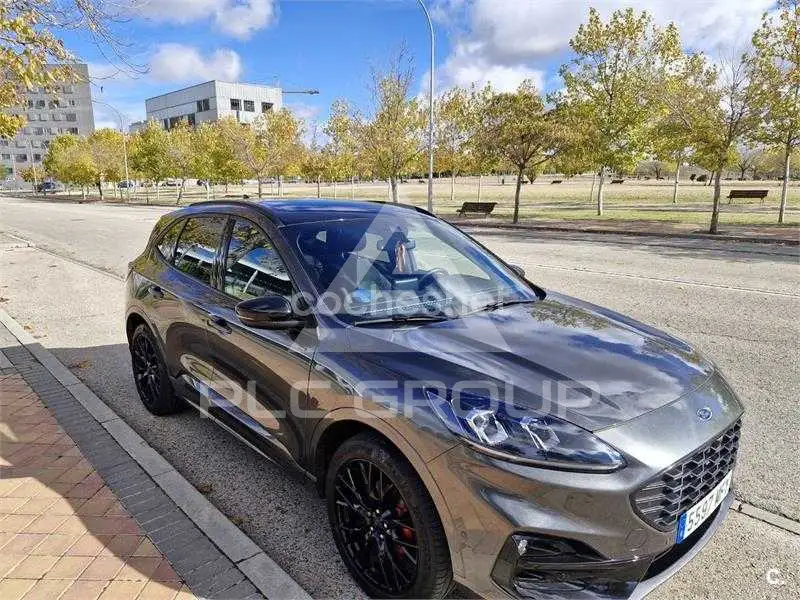 2023 Ford Kuga