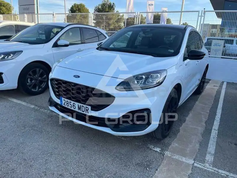 2023 Ford Kuga