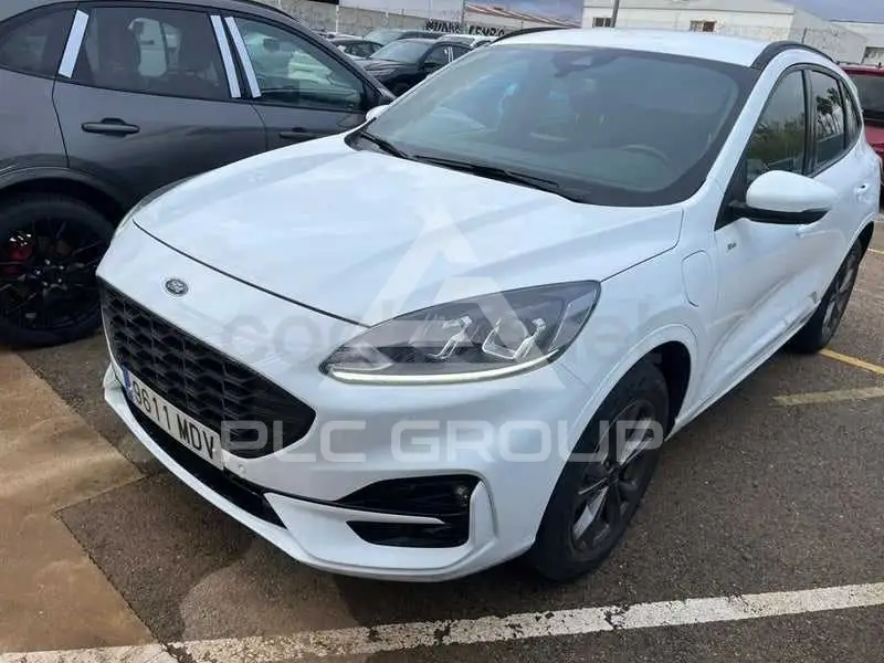 2023 Ford Kuga