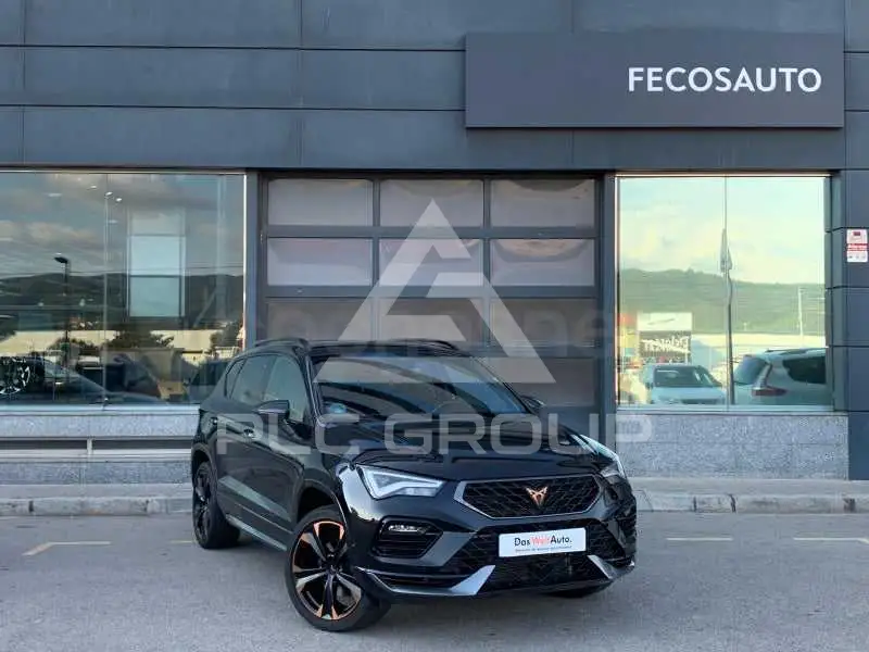 2024 Cupra Other