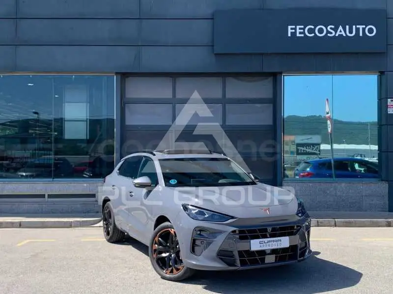 2024 Cupra Other