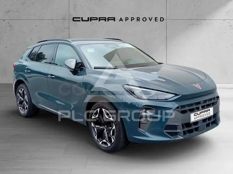 2024 Cupra Other