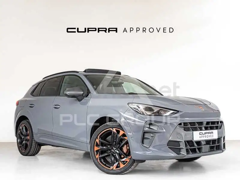 2024 Cupra Other