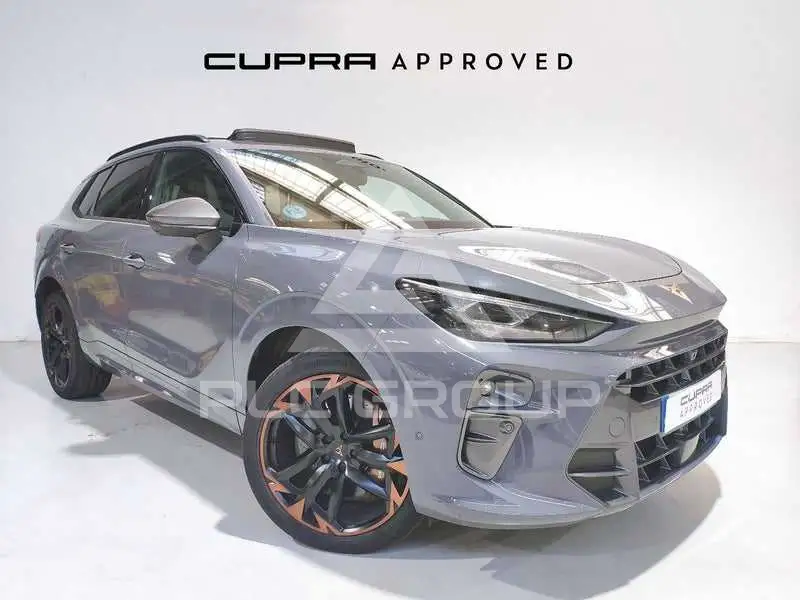 2024 Cupra Other