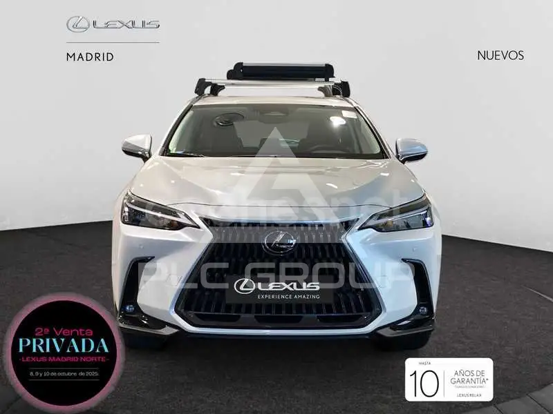 2024 Lexus NX