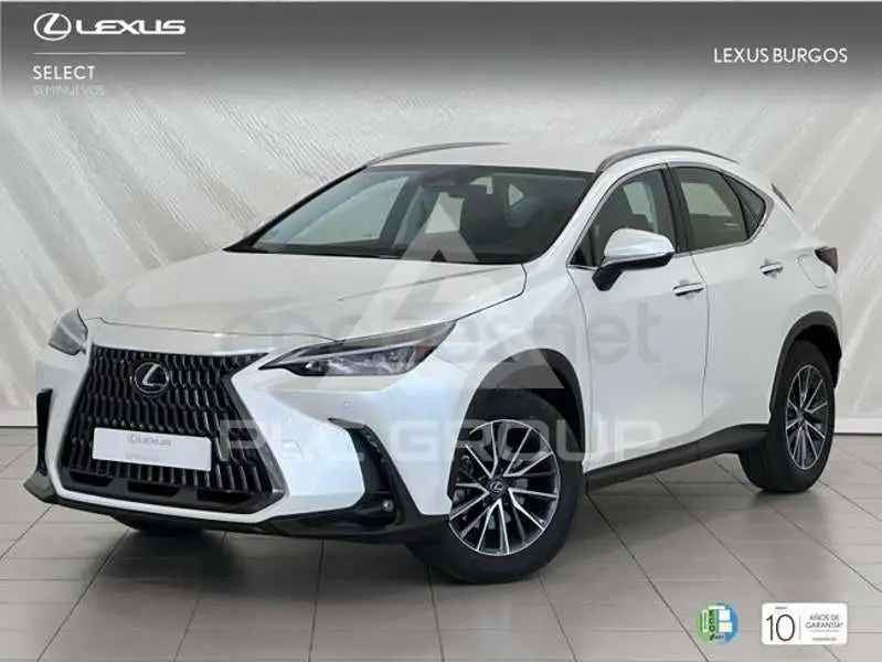 2024 Lexus NX