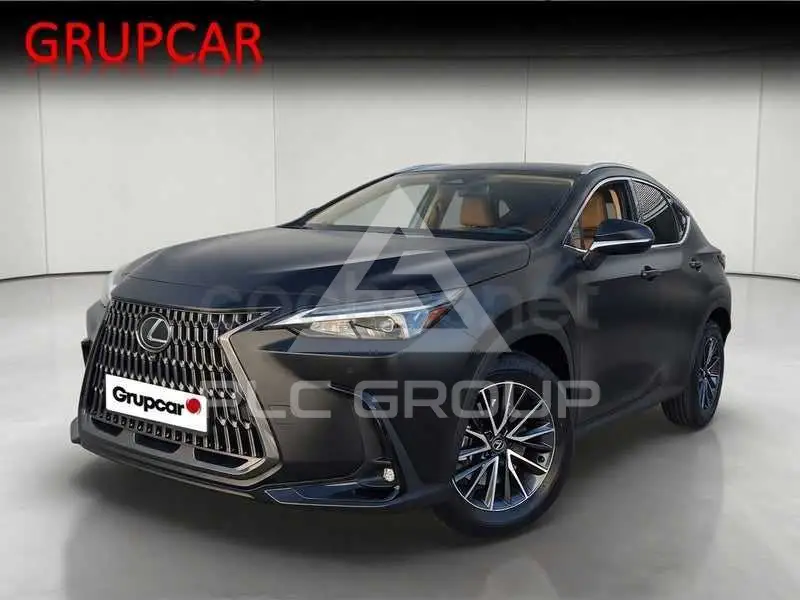 2024 Lexus NX