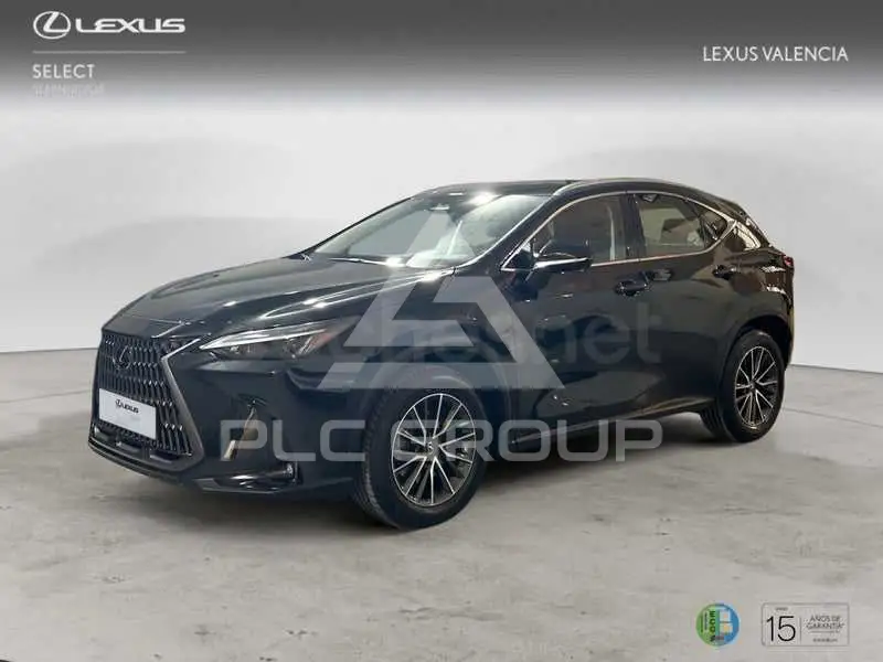 2024 Lexus NX