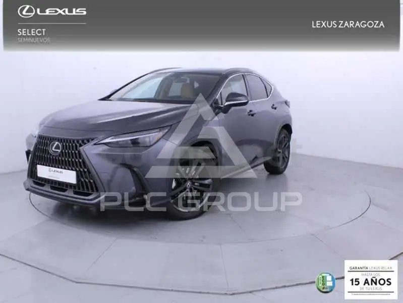 2024 Lexus NX