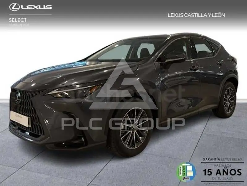 2024 Lexus NX