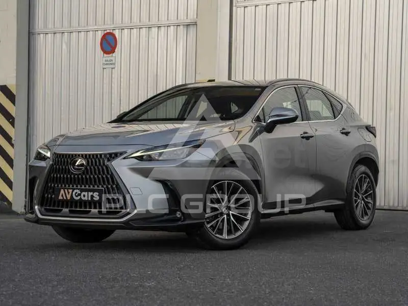 2024 Lexus NX