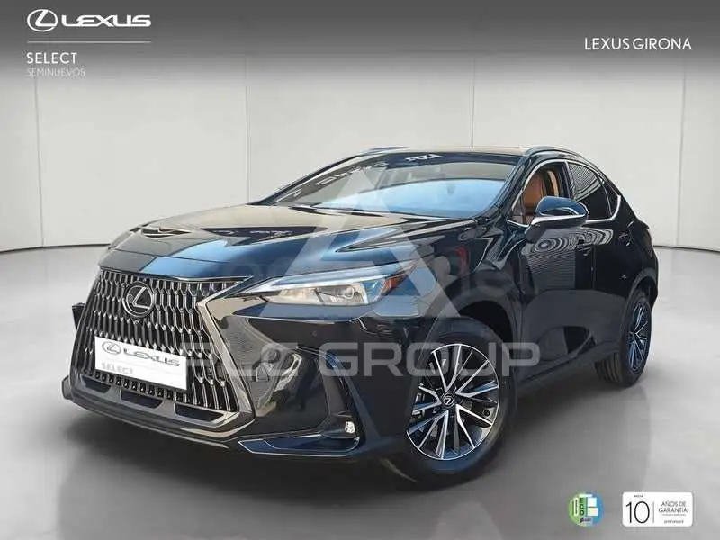 2024 Lexus NX