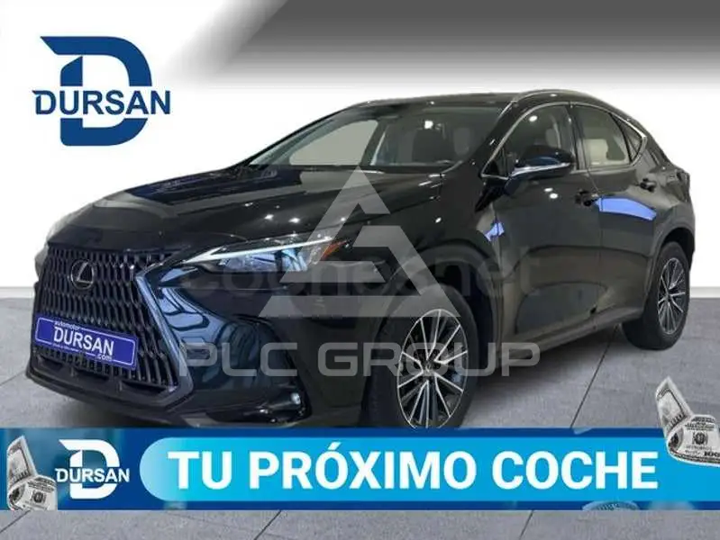 2024 Lexus NX