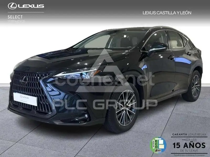 2024 Lexus NX