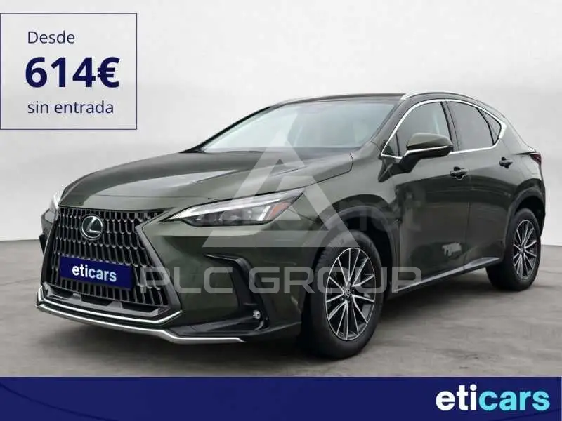 2024 Lexus NX