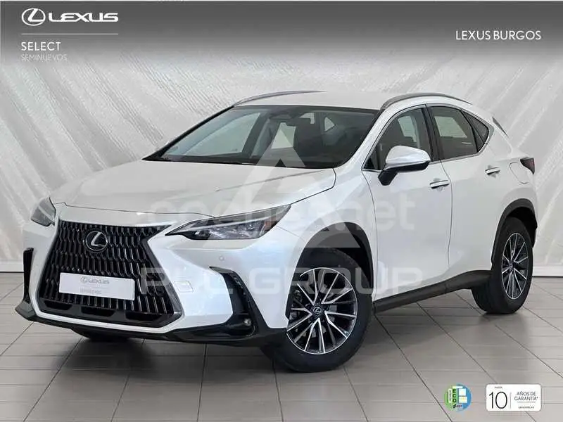 2024 Lexus NX