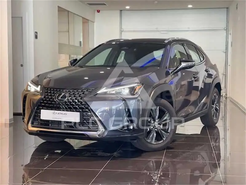 2024 Lexus UX