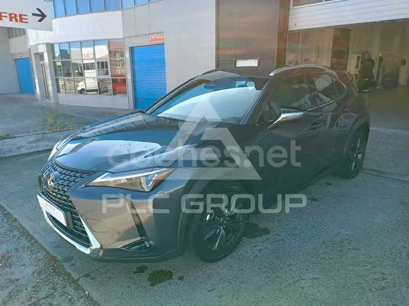 2024 Lexus UX