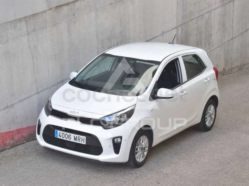2024 KIA Picanto