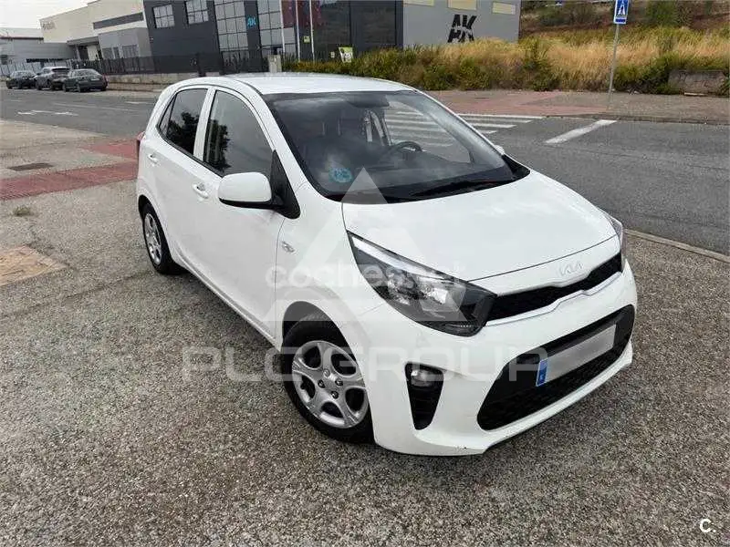 2024 KIA Picanto