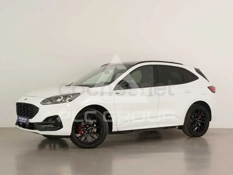 2024 Ford Kuga