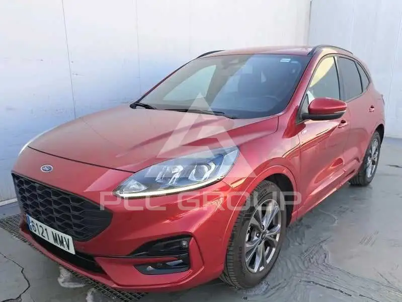 2024 Ford Kuga
