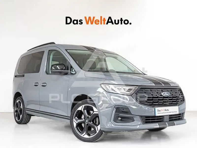 2024 Ford Tourneo