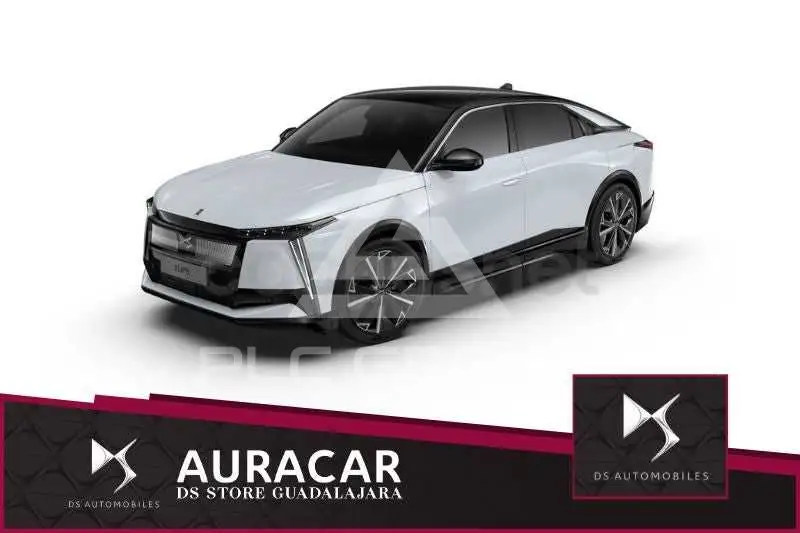 2025 DS Other