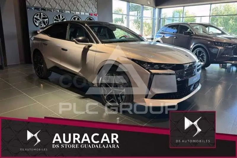 2025 DS Other