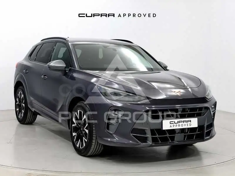 2025 Cupra Other