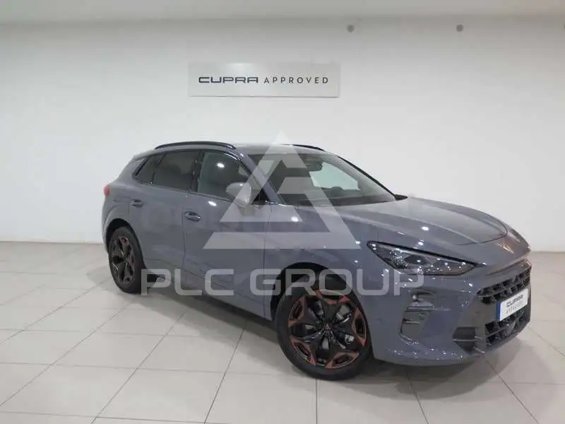 2025 Cupra Other
