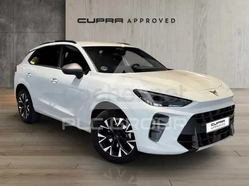 2025 Cupra Other
