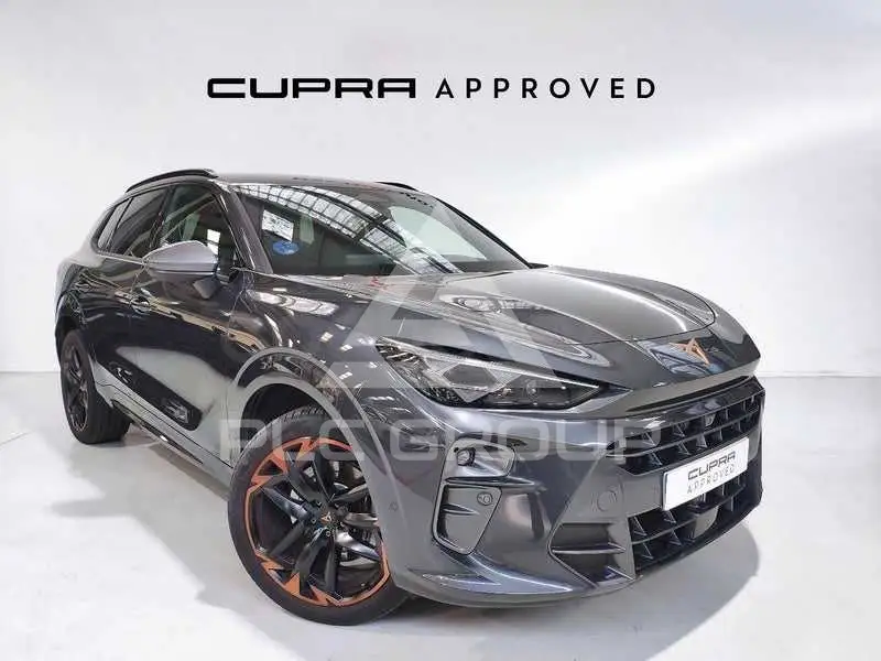 2025 Cupra Other