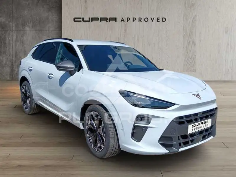 2025 Cupra Other