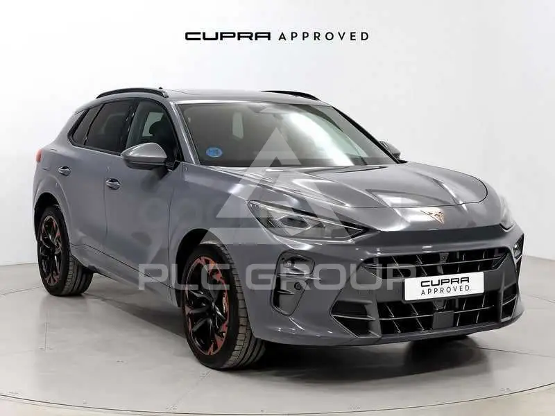 2025 Cupra Other