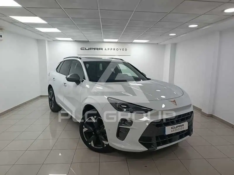 2025 Cupra Other