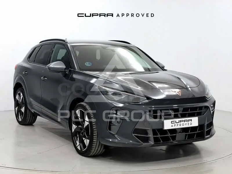 2025 Cupra Other