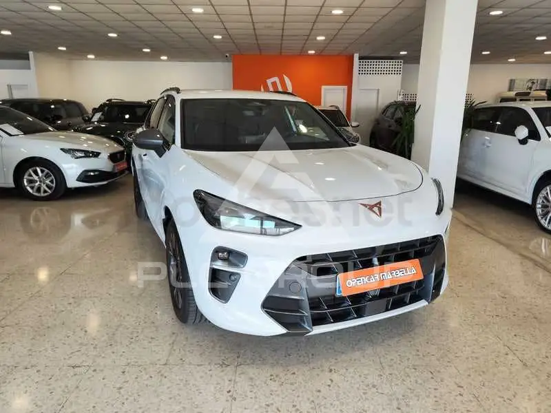 2025 Cupra Other