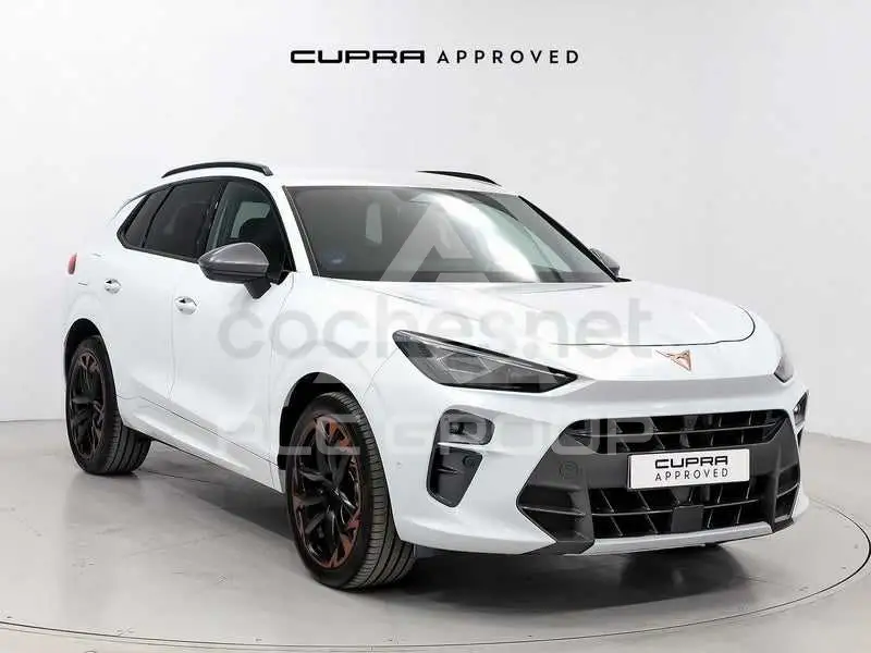 2025 Cupra Other